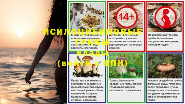 бошки Рославль