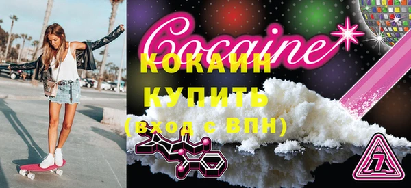 ECSTASY Бородино