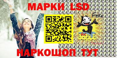 индика Славгород