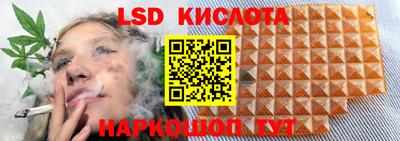 гидропоника Можайск