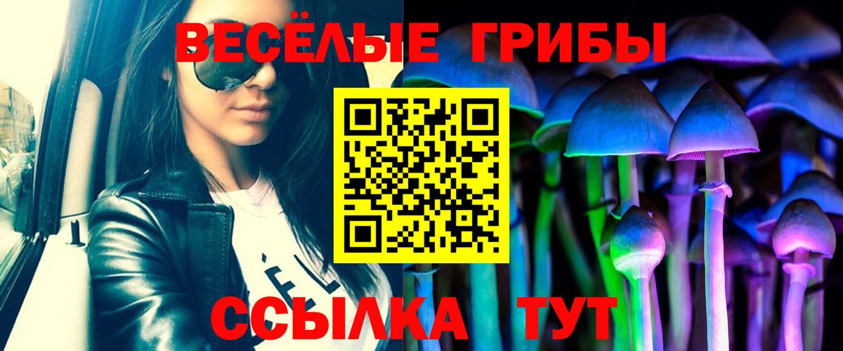 Галлюциногенные грибы Psilocybe Рузаевка